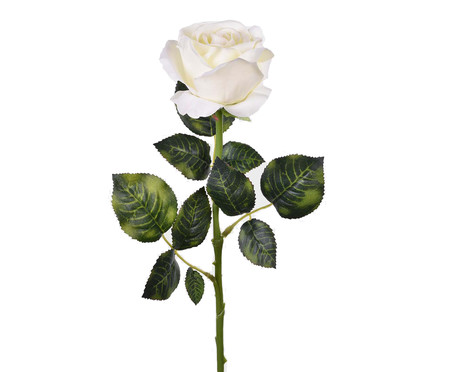 Planta Permanente Haste Rosa Colombiana Branco