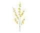 Planta Permanente Orquídea Chuva de Ouro - Amarelo, Amarelo | WestwingNow
