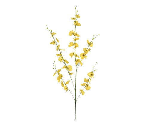 Planta Permanente Orquídea Chuva de Ouro - Amarelo, Amarelo | WestwingNow