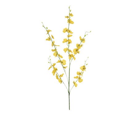 Planta Permanente Orquídea Chuva de Ouro - Amarelo