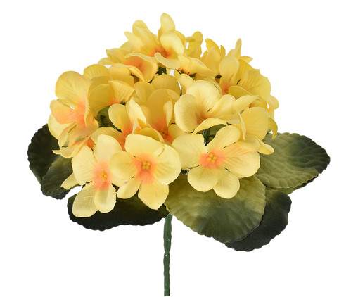 Planta Permanente Violeta Micropeach - Amarela, Amarelo | WestwingNow