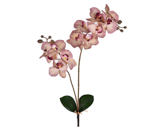 Planta Permanente Haste Orquídea com Folhas  -Rosa, Rosa | WestwingNow