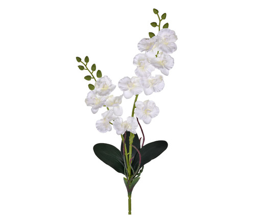 Planta Permanente Haste Orquídea - Branco, Branco | WestwingNow