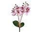 Planta Permanente Haste Orquídea Lavanda, Lavanda | WestwingNow