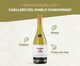 Vinho Chileno Casillero Del Diablo Chardonnay - 750ml, Colorido | WestwingNow