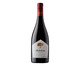 Vinho Tinto Chileno Arboleda Syrah, Colorido | WestwingNow