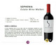 Vinho Argentino Sophenia Estate Wine Malbec Rubi, Colorido | WestwingNow