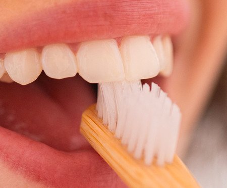 Escova de Dente de Bambu 100% Biodegradável | Westwing
