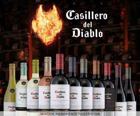 Vinho Chileno Casillero Del Diablo Malbec | WestwingNow