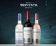 Vinho Argentino Trivento White Malbec, multicolor | WestwingNow