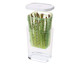 Pote Organizador Greensaver, Transparente | WestwingNow