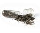 Adubo Bokashi Suculentas, Natural | WestwingNow