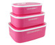 Jogo de Potes Organizadores para Alimentos Fitness Pink, Rosa | WestwingNow