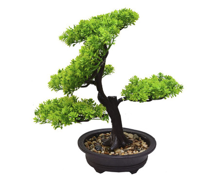 Adorno Bonsai