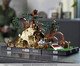 LEGO Diorama de Treinamento Jedi em Dagobah, Colorido | WestwingNow