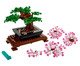Bonsai, Colorido | WestwingNow