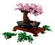 Bonsai, Colorido | WestwingNow