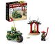 Motocicleta Ninja do Lloyd, Colorido | WestwingNow