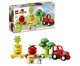 Trator de Verduras e Frutas, Colorido | WestwingNow