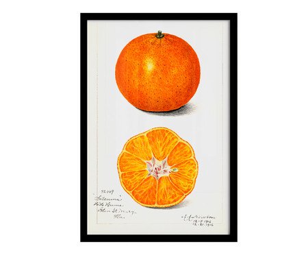 Quadro Laranja Vintage com Moldura Preta | Westwing