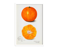 Quadro Laranja Vintage com Moldura Branca | WestwingNow