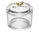 Pote Bird Golden, Transparente | WestwingNow