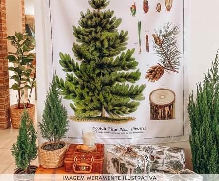 Bandeira Pinheiro | Westwing