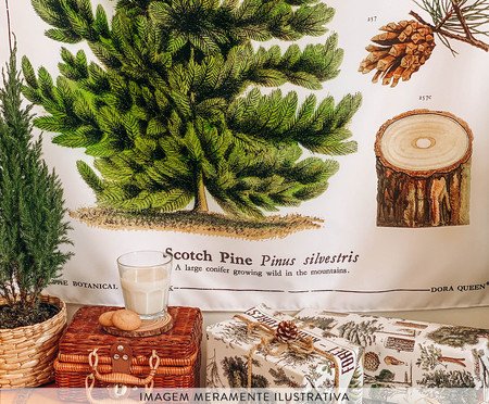 Bandeira Pinheiro | Westwing