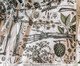 Echarpe Botanical, Verde | WestwingNow
