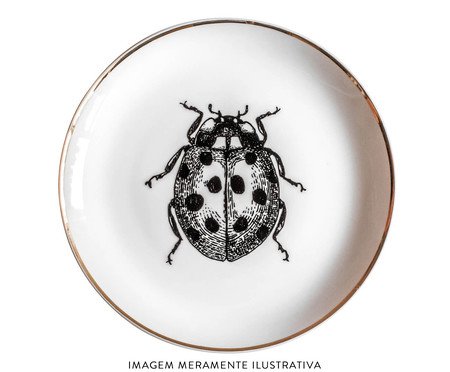 Jogo de Pratos Decorativos em Porcelana Joaninha | Westwing