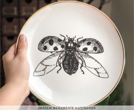 Jogo de Pratos Decorativos em Porcelana Joaninha | Westwing