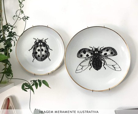 Jogo de Pratos Decorativos em Porcelana Joaninha | Westwing