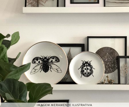 Jogo de Pratos Decorativos em Porcelana Joaninha | Westwing