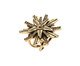 Anel Elemental Banhado a Ouro Vintage, Dourado | WestwingNow