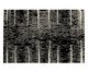 Tapete Nero Marabella Elite Cyclone Black, black | WestwingNow