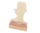 Luminária de Mesa com Led Menina Cris - 15X25X6cm, Transparente | WestwingNow