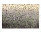 Tapete New Look Arabesco, multicolor | WestwingNow