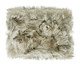 Tapete Shaggy Tufting Show Dança, beige,multicolor | WestwingNow