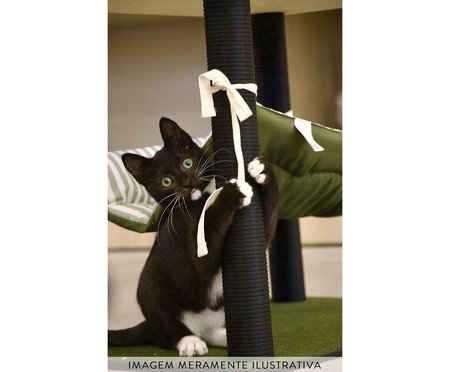 Arranhador Cat Home Preto/Verde | Westwing