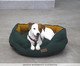 Cama Gomo Flat Verde, Verde | WestwingNow