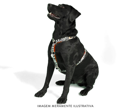 Peitoral Educativo H Slim para Cachorros South Africa - Colorido | WestwingNow