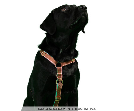 Peitoral Educativo H Slim para Cachorros Paris - Terracota | WestwingNow