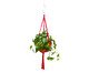Hanger em Macramê Summer Vermelho, Vermelho | WestwingNow