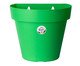 Vaso Bari de Parede Verde, Verde | WestwingNow