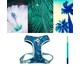 Peitoral Bold para Cachorros Hawaii - Azul, Azul | WestwingNow