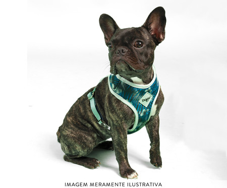 Peitoral Bold para Cachorros Hawaii - Azul | WestwingNow