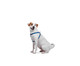 Peitoral para Cachorros Hawaii - Azul, Azul | WestwingNow