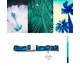 Coleira para Cachorros Hawaii - Azul, Azul | WestwingNow