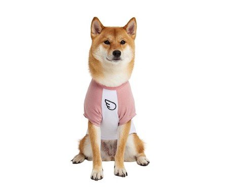 Camiseta para Cachorro Soft - Branco | WestwingNow