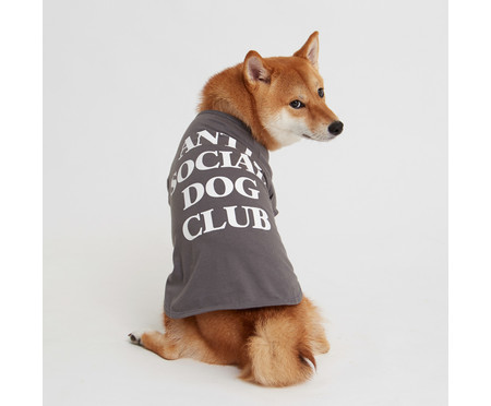 Camiseta para Cachorro Anti Social Dog Club - Cinza | WestwingNow